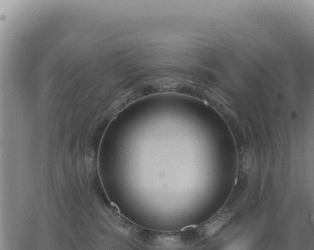 X0000062860283200601201736