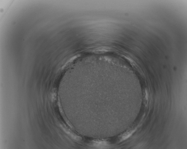 X0000062860284200601201737