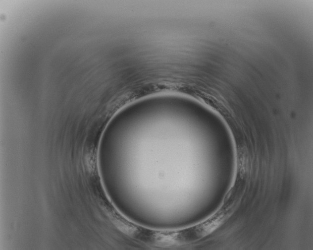 X0000062860285200601201737