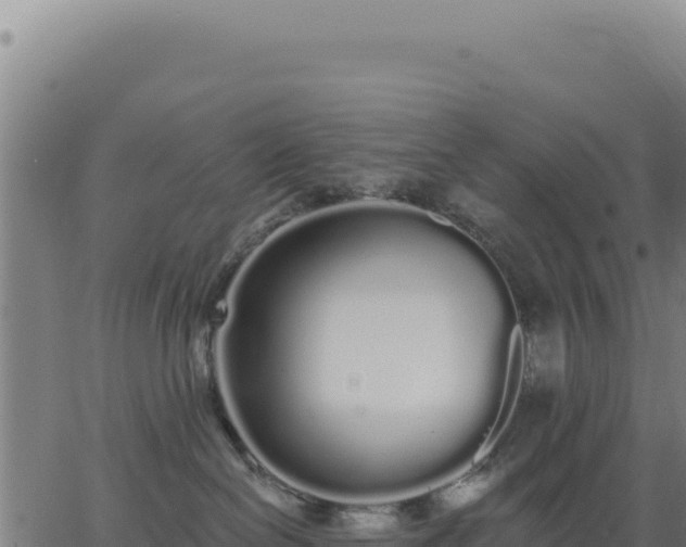 X0000062860286200601201737