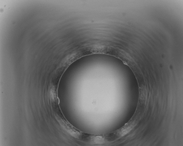 X0000062860287200601201737