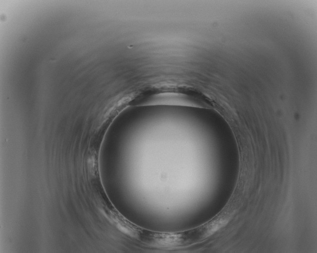 X0000062860288200601201737