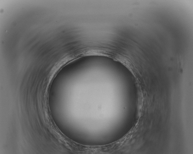 X0000062860289200601201736