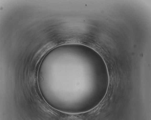 X0000062860290200601201736