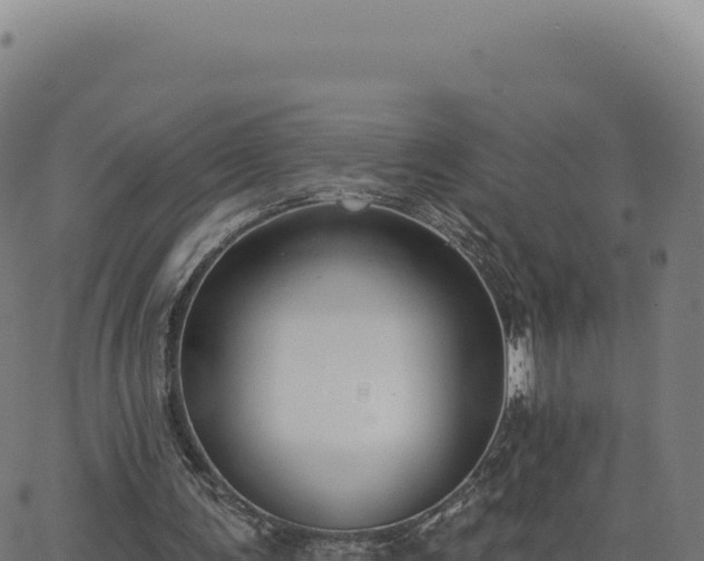 X0000062860291200601201736