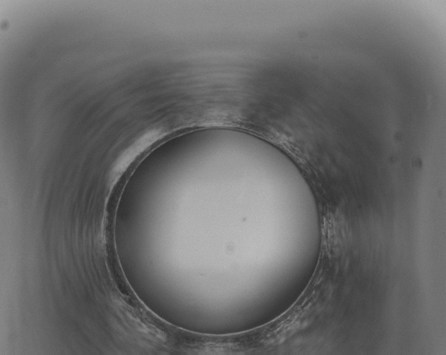 X0000062860292200601201736