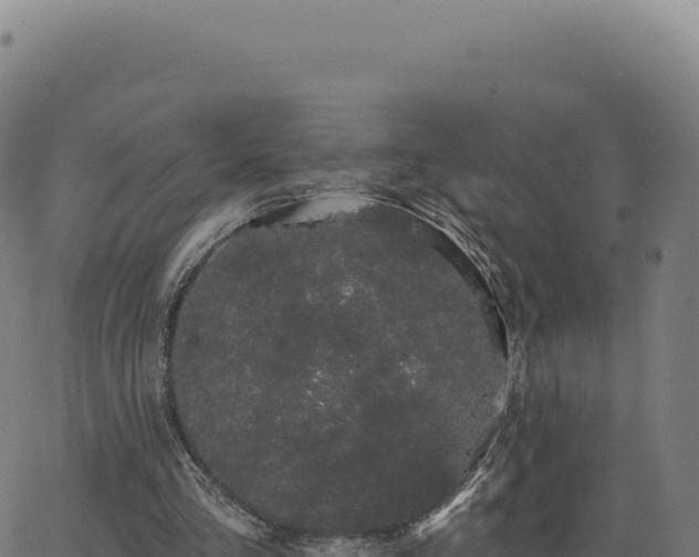 X0000062860293200601201736