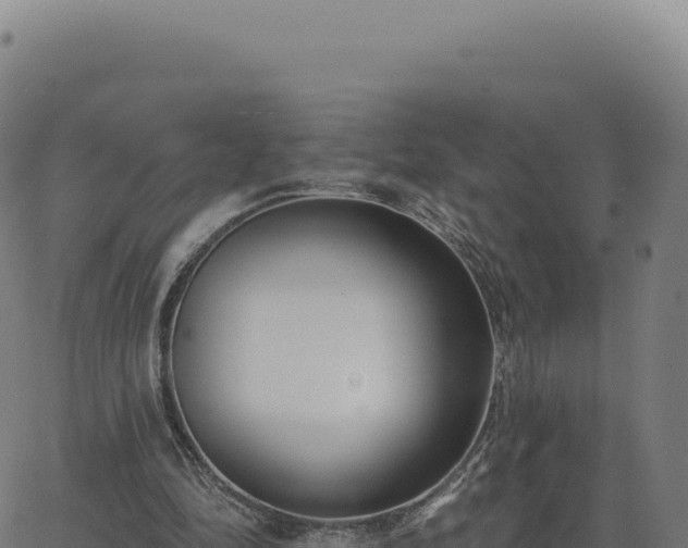 X0000062860294200601201736