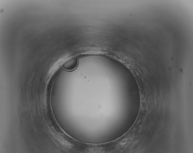 X0000062860296200601201736