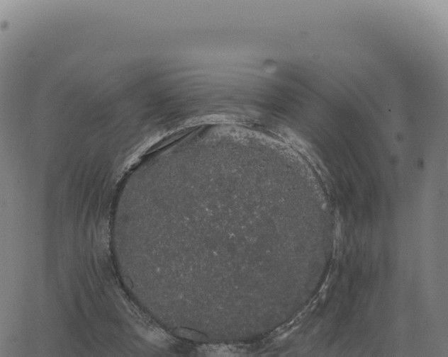 X0000062860297200601201736