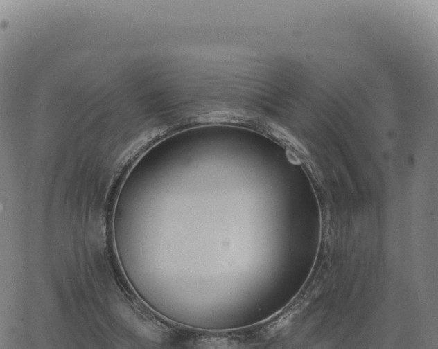 X0000062860298200601201736