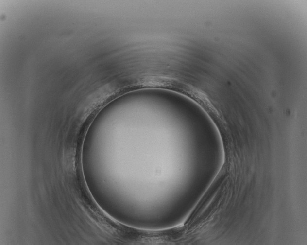 X0000062860299200601201736