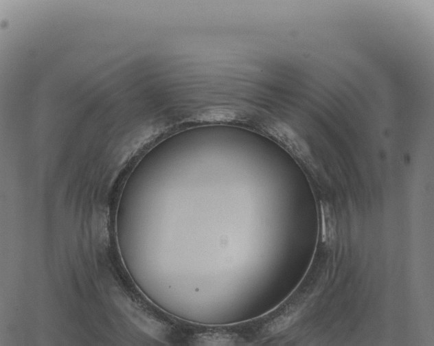 X0000062860300200601201736