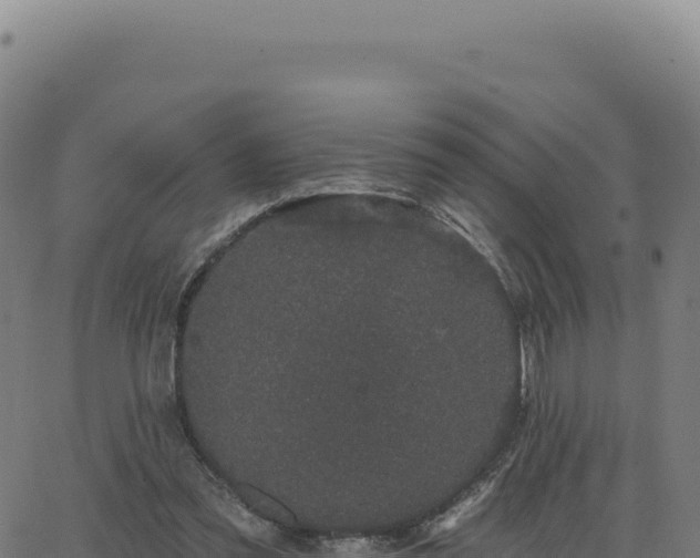 X0000062860301200601201736