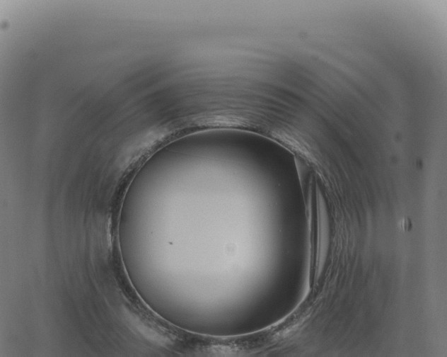 X0000062860302200601201736