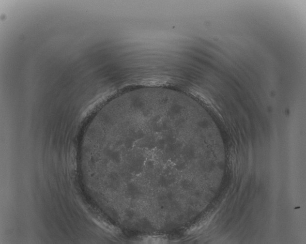 X0000062860303200601201736