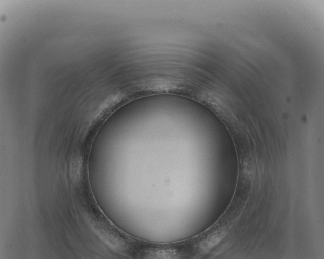 X0000062860304200601201736