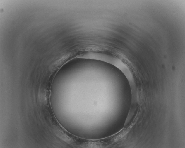 X0000062860305200601201736