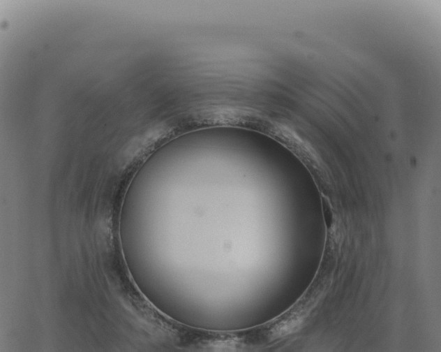 X0000062860306200601201735