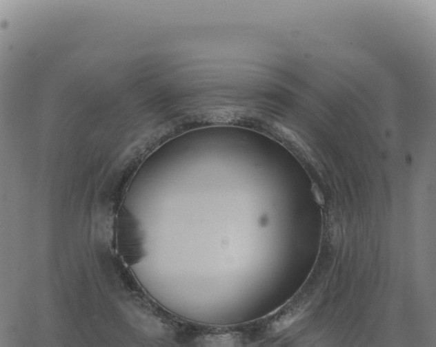 X0000062860307200601201735