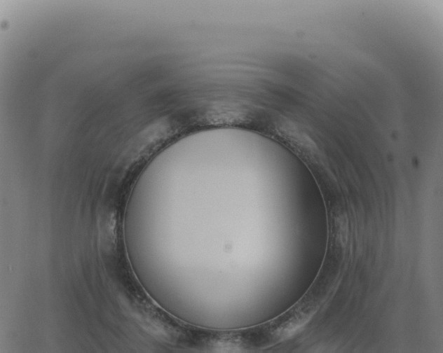 X0000062860308200601201735