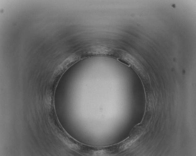 X0000062860309200601201735