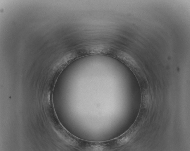 X0000062860310200601201735