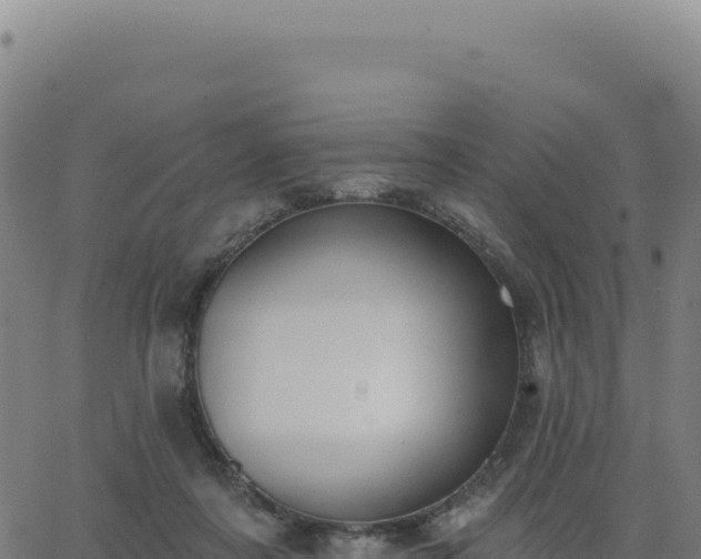 X0000062860311200601201735