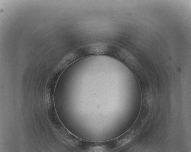 X0000062860312200601201735