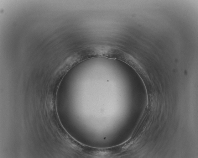 X0000062860313200601201735