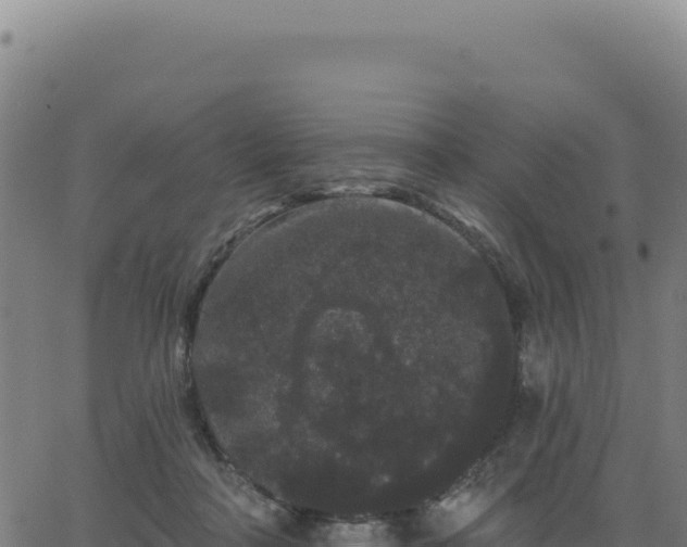 X0000062860314200601201735