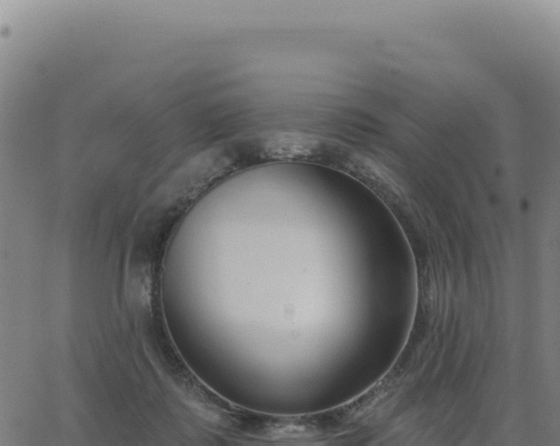 X0000062860315200601201735