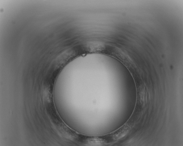 X0000062860316200601201735