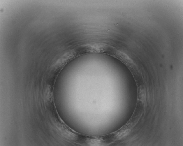 X0000062860318200601201735