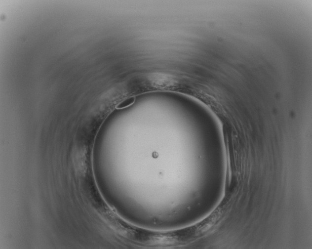 X0000062860319200601201735