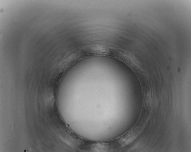 X0000062860320200601201735