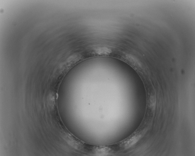 X0000062860321200601201735