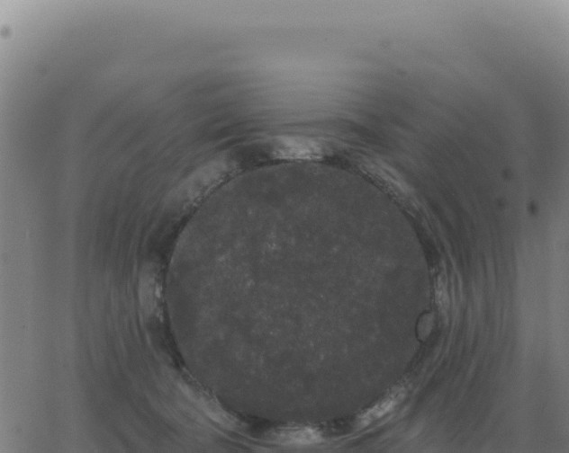 X0000062860322200601201735