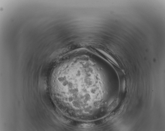 X0000062860323200601201735