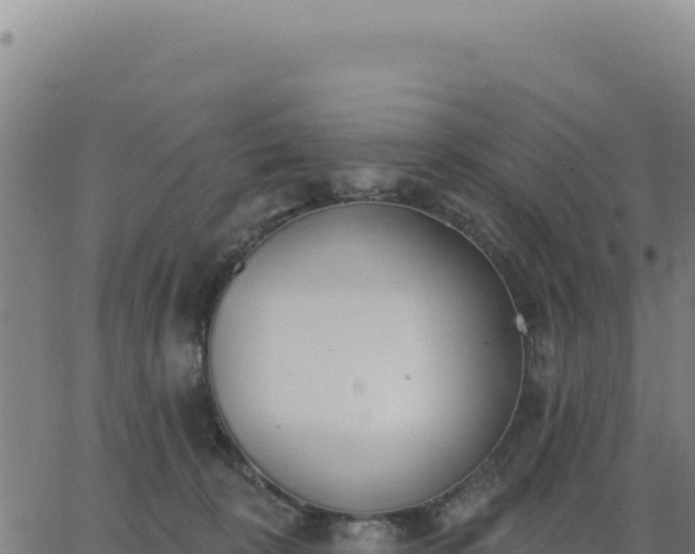 X0000062860324200601201735