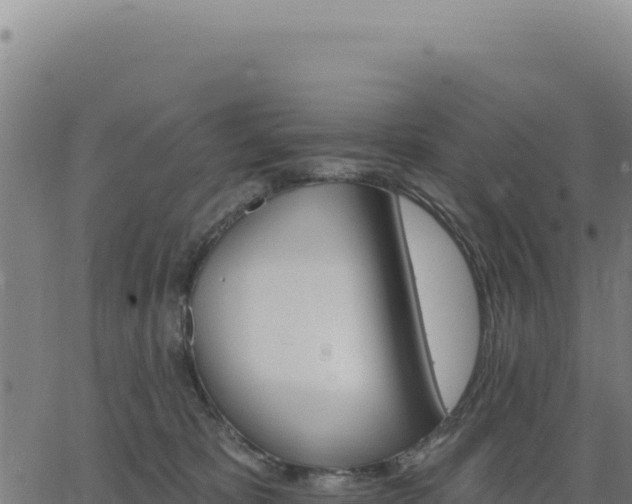 X0000062860325200601201735