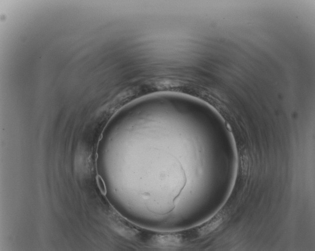 X0000062860327200601201735