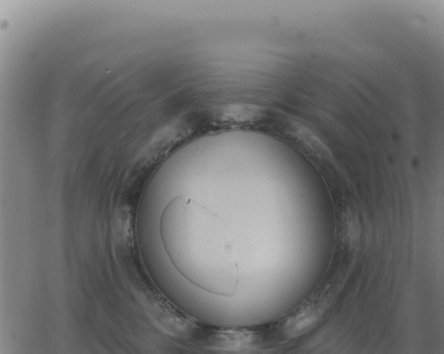 X0000062860328200601201735