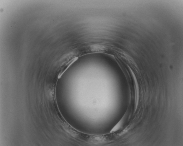 X0000062860329200601201735