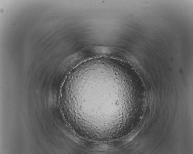 X0000062860330200601201735