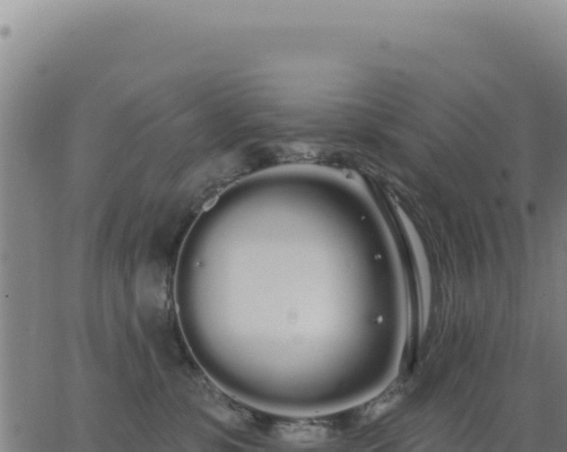 X0000062860331200601201735