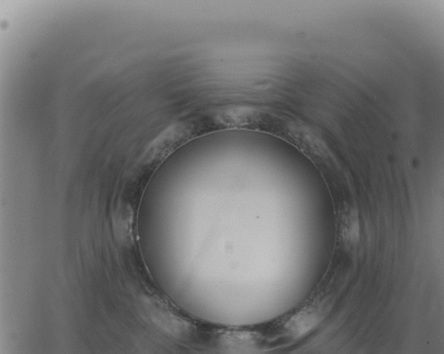 X0000062860332200601201735