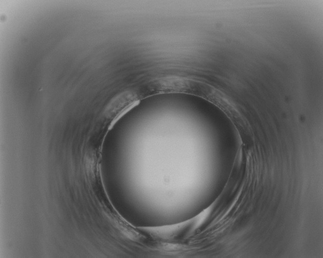 X0000062860333200601201735