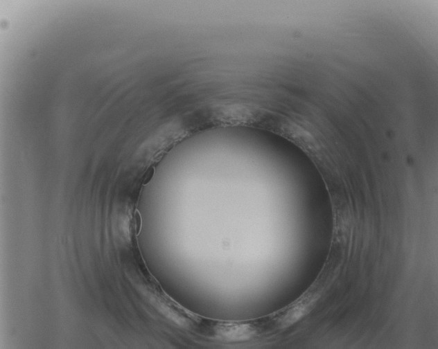 X0000062860334200601201735