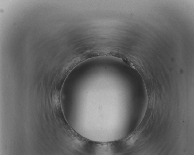 X0000062860335200601201735